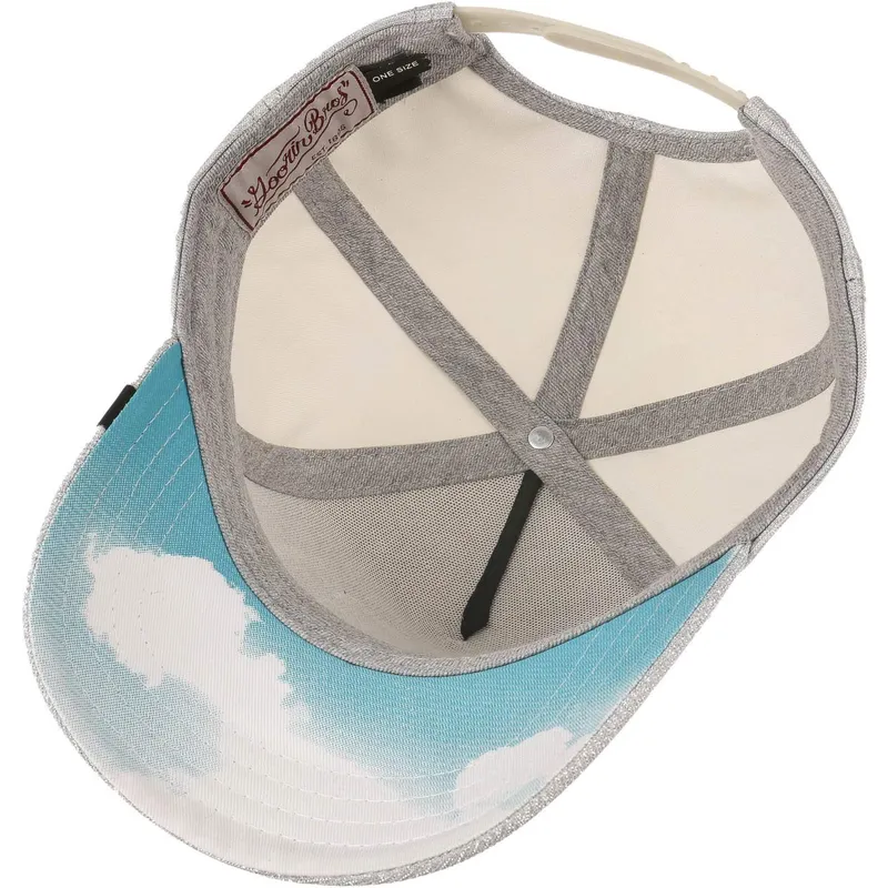 petten-gebogen-grijs-snapback-purpurina-believer-the-farm-van-goorin-bros