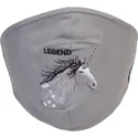 maskers-en-bescherming-grijs-van-mascarilla-reutilizable-gris-unicornio-living-legend-the-farm-van-goorin-bros