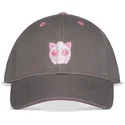 petten-gebogen-grijs-snapback-rosa-van-difuzed