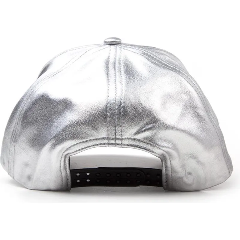 petten-gebogen-grijs-snapback-plateada-van-difuzed