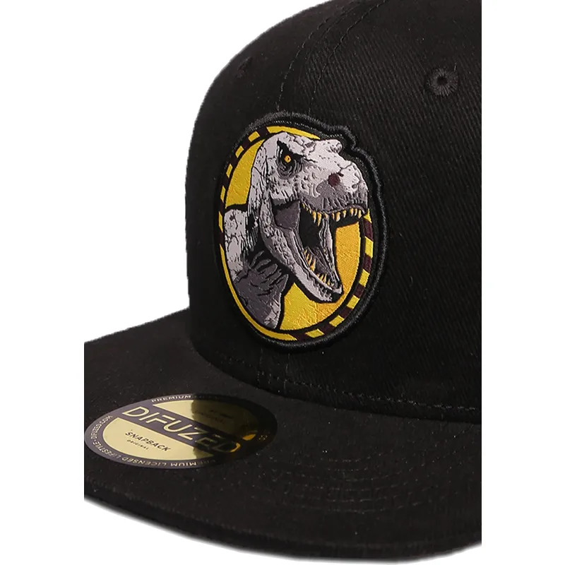 petten-plat-zwart-snapback-van-difuzed petten-plat-zwart-snapback-van-difuzed