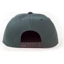 cap-plat-green-snapback-van-difuzed