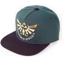cap-plat-green-snapback-van-difuzed