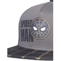 petten-plat-zwart-snapback-trucker-van-difuzed
