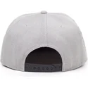 petten-plat-grijs-snapback-sony-van-difuzed