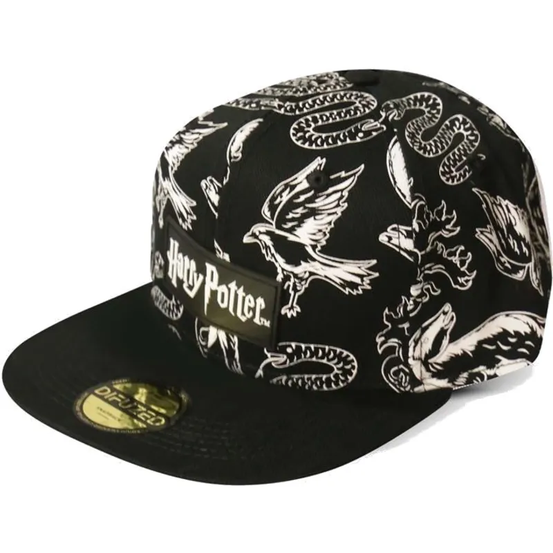 petten-plat-zwart-snapback-van-difuzed