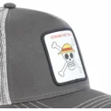 petten-gebogen-grijs-snapback-sku1-straw-hat-pirates-one-piece-van-capslab