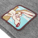 mutsen-grijs-bon-coy2-coyote-looney-tunes-van-capslab