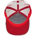 petten-gebogen-blauw-snapback-voor-kinderen-clever-little-raptor-the-farm-van-goorin-bros
