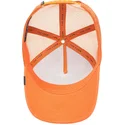 petten-gebogen-oranje-snapback-the-lone-wolf-the-farm-van-goorin-bros
