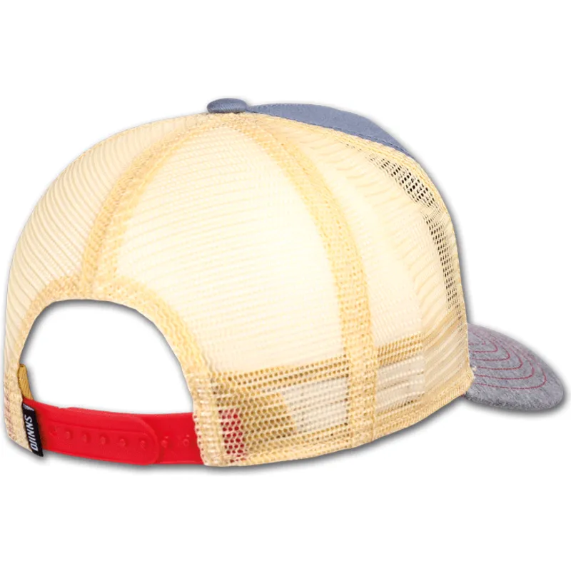 cap-gebogen-gray-snapback-van-djinns