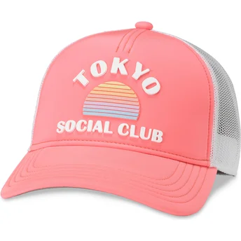 Petten gebogen roze snapback Social Club Riptide Valin van American Needle