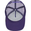 cap-gebogen-violet-snapback-the-farm-van-goorin-bros