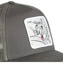petten-gebogen-grijs-snapback-tom-looney-tunes-van-capslab