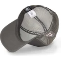 petten-gebogen-grijs-snapback-tom-looney-tunes-van-capslab