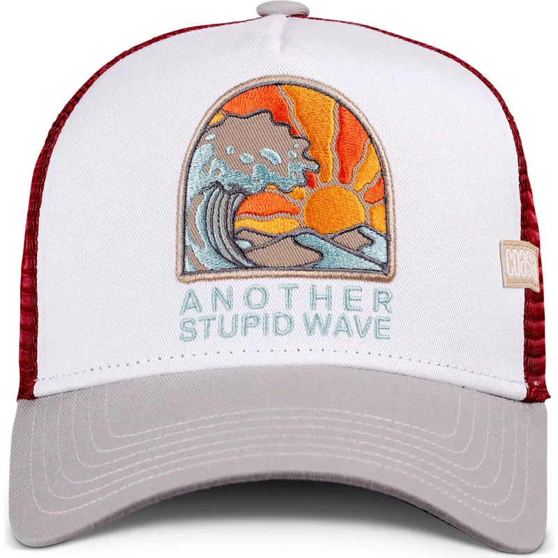 petten-gebogen-meerkleurig-snapback-stupid-wave-hft-van-coastal
