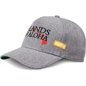 casquette-courbee-grise-ajustable-islands-of-aloha-coastal