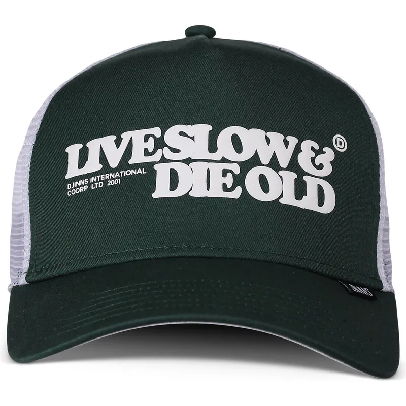 petten-gebogen-groen-snapback-live-slow-die-old-hft-lsdo-van-djinns petten-gebogen-groen-snapback-live-slow-die-old-hft-lsdo-van-djinns