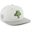 petten-plat-wit-snapback-van-florida-panthers-nhl-van-47-brand