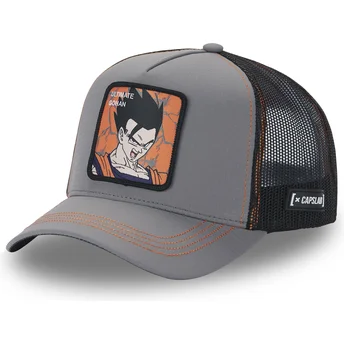 Petten gebogen grijs snapback Son Gohan Ultimate DBZ8 GOH Dragon Ball Son Gohan Dragon Ball van Capslab