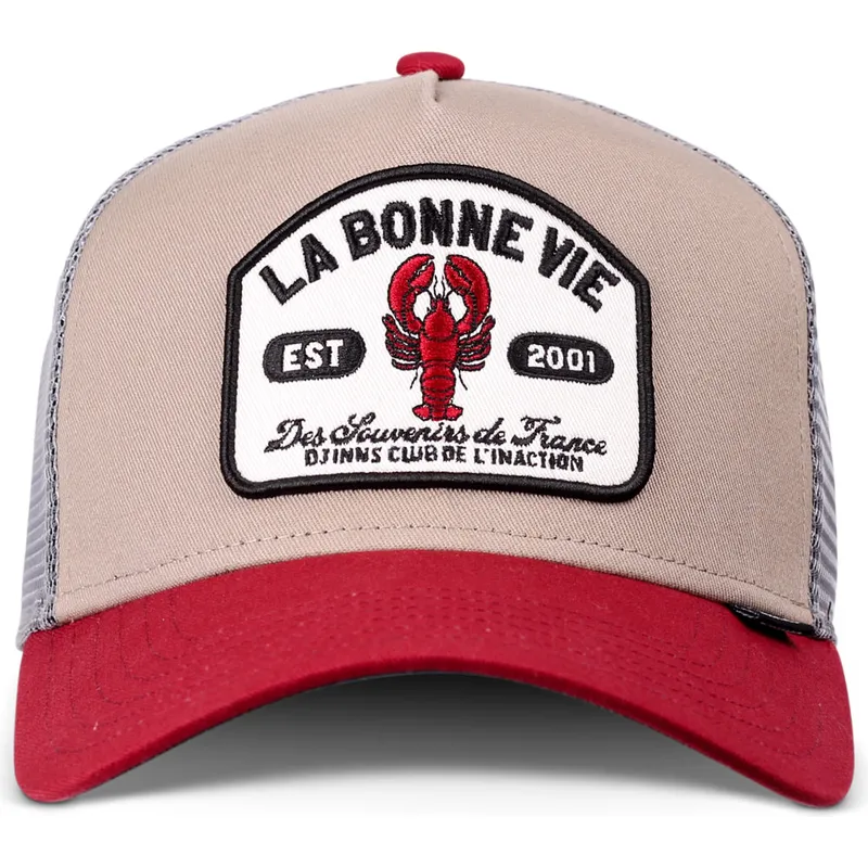 petten-gebogen-meerkleurig-snapback-la-bonne-vie-hft-van-djinns