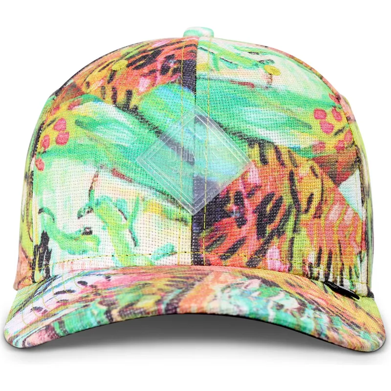 petten-gebogen-meerkleurig-snapback-truefit-painting-van-djinns