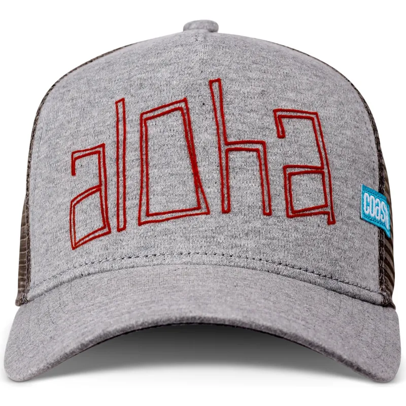 petten-gebogen-grijs-snapback-van-coastal petten-gebogen-grijs-snapback-van-coastal
