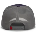 petten-gebogen-paars-snapback-goorin-bros-beat-dead-horse-horse-play-the-farm-purple-hat-the-farm-van-goorin-bros