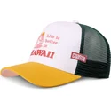 petten-gebogen-meerkleurig-snapback-better-hawaii-hft-van-coastal