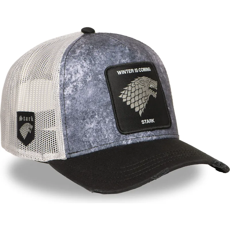 petten-gebogen-meerkleurig-snapback-got-sta-huis-stark-game-of-thrones-van-capslab