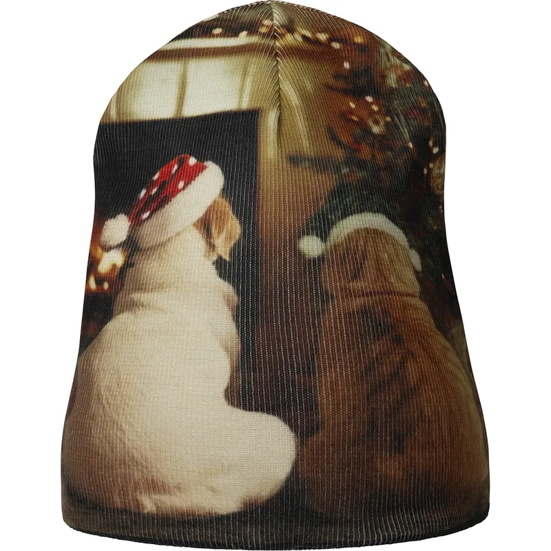 mutsen-meerkleurig-holiday-rev-buddy-black-van-kangol