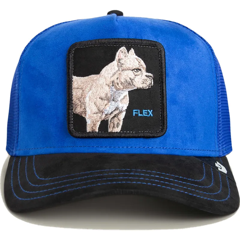 czapka-trucker-niebiesko-czarna-pies-pitbull-flex-pitbull-suede-the-farm-od-goorin-bros