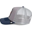 petten-gebogen-multicolor-snapback-the-farm-van-goorin-bros