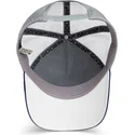 petten-gebogen-multicolor-snapback-the-farm-van-goorin-bros