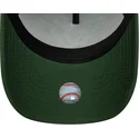 petten-gebogen-groen-snapback-9forty-e-frame-league-essential-van-new-york-yankees-mlb-van-new-era