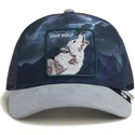 petten-gebogen-multicolor-snapback-the-farm-van-goorin-bros
