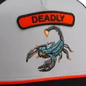 petten-gebogen-grijs-snapback-the-farm-van-goorin-bros