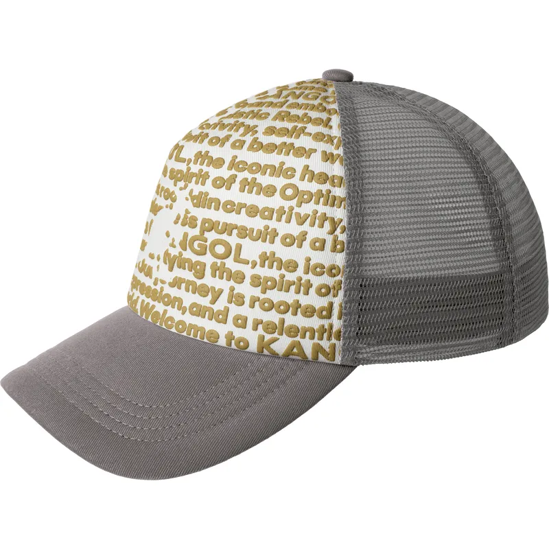 petten-gebogen-grijs-snapback-van-kangol