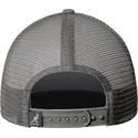petten-gebogen-grijs-snapback-van-kangol