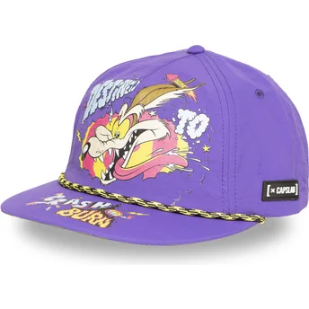 Petten plat violet snapback Coyote Looney Tunes van Capslab