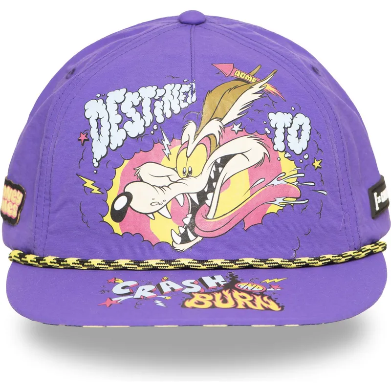 petten-plat-paars-snapback-loo13-dtcb-coyote-looney-tunes-van-capslab