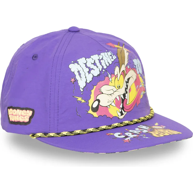 petten-plat-violet-snapback-coyote-looney-tunes-van-capslab