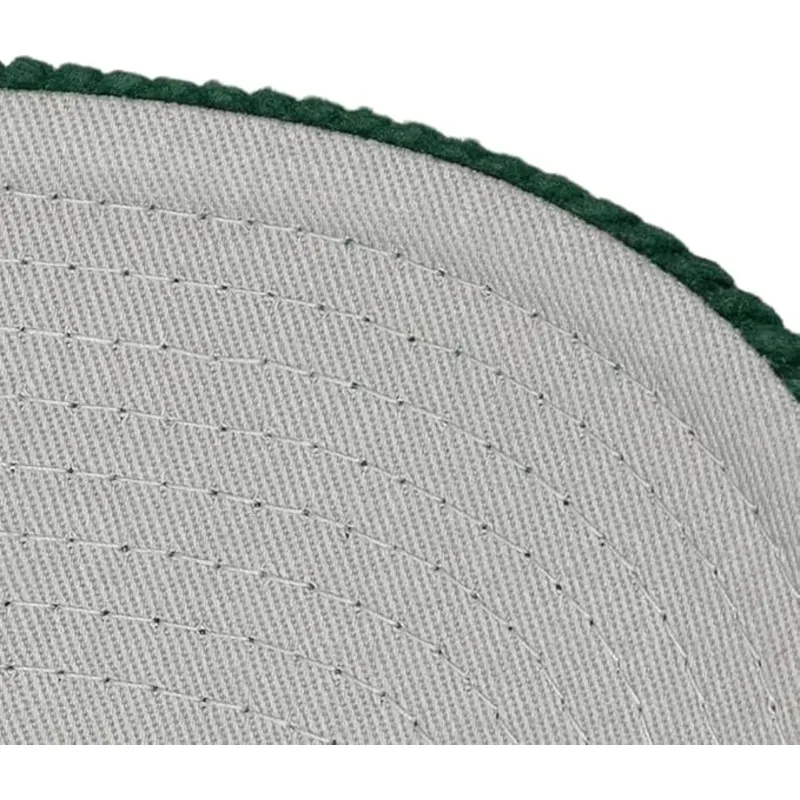 mitchell-ness-curved-brim-arch-stamp-pro-anaheim-ducks-nhl-green-snapback-cap