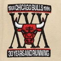 cappello-piatto-nero-e-beige-snapback-across-the-board-di-chicago-bulls-nba-di-mitchell-ness