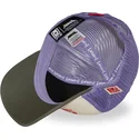 petten-gebogen-meerkleurig-snapback-kfp-ffu-po-kung-fu-panda-van-capslab