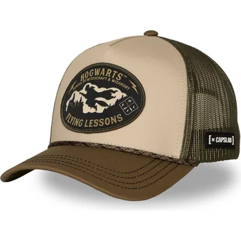 Petten gebogen groen snapback Harry Potter van Capslab