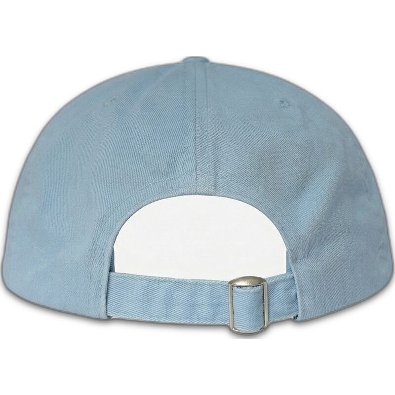 petten-gebogen-blauw-verstelbaar-merch-merchandising-the-90s-van-homenage