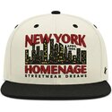 snapback-nysky-skylines-the-snap-homenage