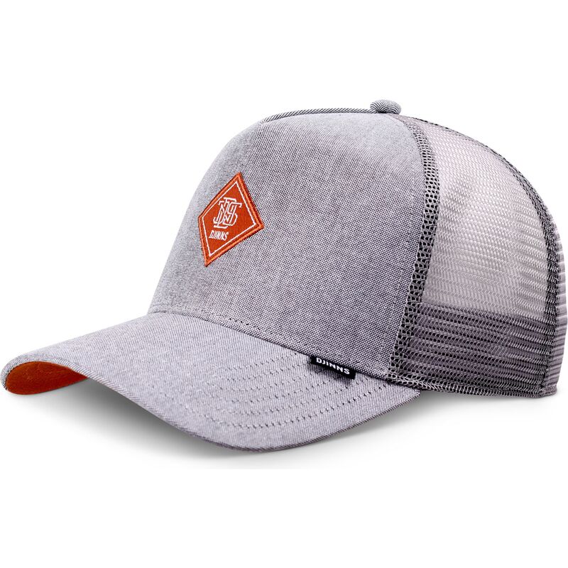 petten-gebogen-grijs-snapback-van-djinns
