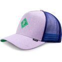 petten-gebogen-violet-snapback-van-djinns